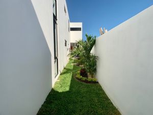 Jardín Lateral