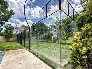 Canchas de Paddel