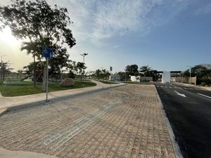 Cajones de Estacionamiento para Visitas