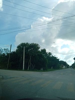 Renta terreno zona Dzityá casi una hectárea cerca de Hacienda San Antonio Hool