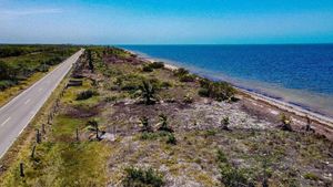 En Venta Terrenos frente a playa en Santa Clara Yucatán.