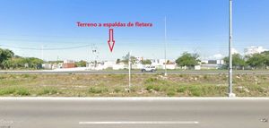 Terreno en venta, 15 Ha acceso desde carretera a Progreso, San Ignacio, Yucatán.