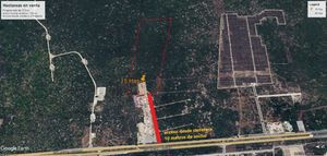 Terreno en venta, 15 Ha acceso desde carretera a Progreso, San Ignacio, Yucatán.