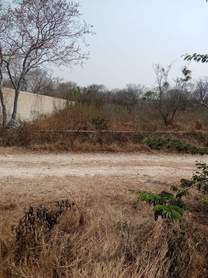 Venta terreno en Fracc. San José Kuché a 1.7 km del parque de Chablekal, Conkal