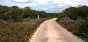 Venta terreno con 30 metros frente al mar en El Palmar, Celestún, Yucatán