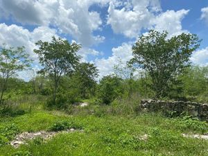 Terreno en venta a 10 km del periférico de Mérida en Ucú Yucatán