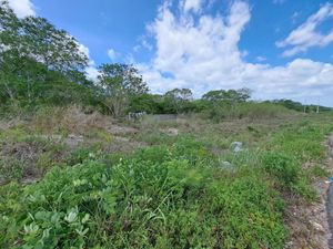 Terreno comercial a pie de carretera Merida-Tizimin en Motul Yucatán.