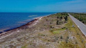 En Venta Terrenos frente a playa en Santa Clara Yucatán.