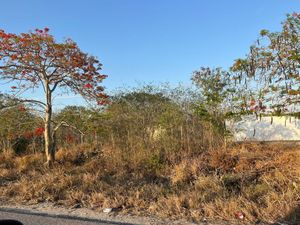 Renta Terreno a una cuadra de la Carr Merida-Progreso a km. 7 de Mérida.