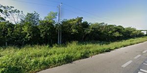 Terreno sobre carretera en la zona de Conkal, al Norte de Mérida Yucatán