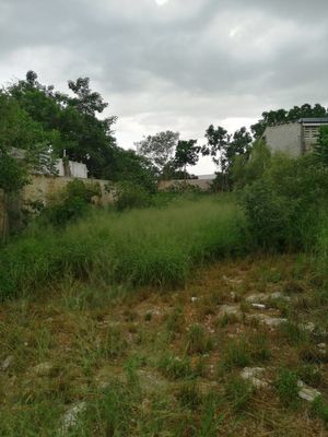 Terreno en venta en Mérida-Umán a 5min de periferico