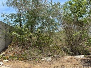 Terreno en venta al Norte de Merida