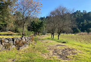 Casa de Campo Estado de México * Oportunidad* #glamping #descanso