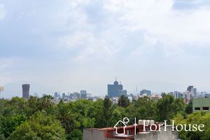 Vista roof garden