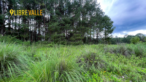 VENTA TERRENO EN CERRO GORDO-TERRENO LOS LLANOS