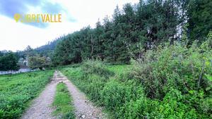 VENTA TERRENO EN CERRO GORDO-TERRENO LOS LLANOS