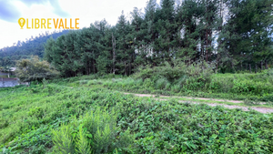 VENTA TERRENO EN CERRO GORDO-TERRENO LOS LLANOS