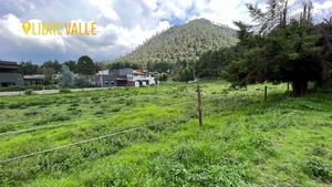 VENTA TERRENO EN CERRO GORDO-TERRENO LOS LLANOS