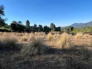 VENTA TERRENO EN VALLE DE BRAVO-EL FRESNO