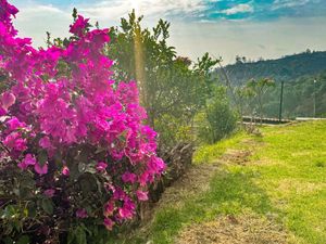 RENTA CASA EN VALLE DE BRAVO -  CASA EL LIMÓN