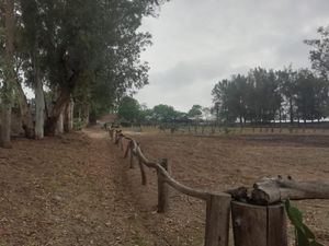 Terreno en Venta Ideal para Casa de Campo en Tesistan, Zapopan, Jalisco