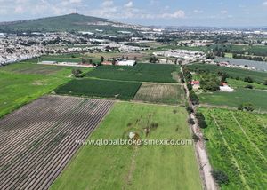 Terrenos y Macro Lotes en Venta, con Excelente Ubicación, Guadalajara, Jalisco