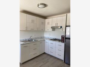 Departamento en Renta en Fuentes del Valle Juárez