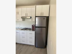 Departamento en Renta en Fuentes del Valle Juárez