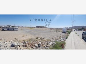 Terreno en Venta en Palo Chino Juárez