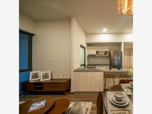 Departamento en Venta en San Francisco Coacalco Coacalco de Berriozábal