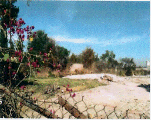 Terreno en Los Sauces, Tlajomulco de Zuñiga.