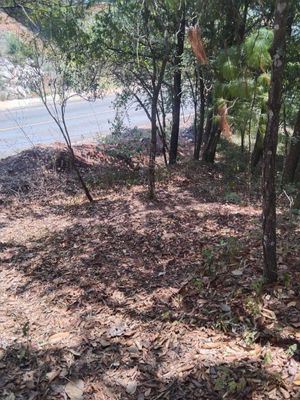 Terreno en venta a orilla de carretera.