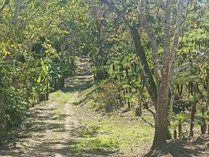 Rancho en venta en San Fernando, Chiapas.