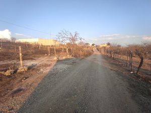 Terreno en Linda Vista con dos frentes