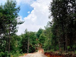 SE VENDE TERRENO CAMPESTRE EN PROYECTO AVELLANEDA