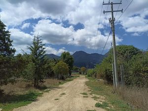 Se vende terreno rodeado de Naturaleza