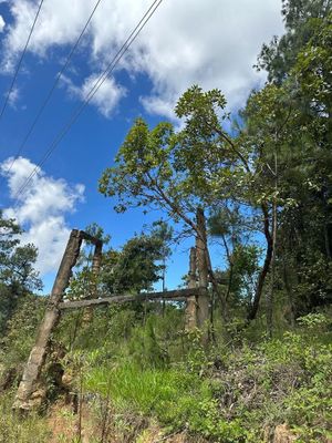 Terreno en Lomas de Huitepec