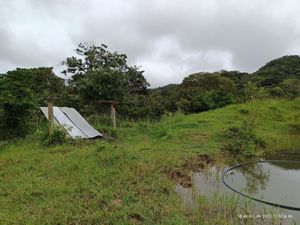 Se vende rancho de 100 hectáreas a tan solo 3.5 Km de la Carretera Federal. ( 75