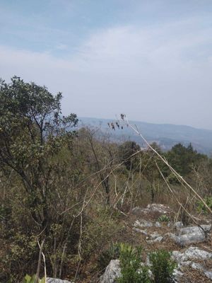 Terreno en venta a orilla de carretera.