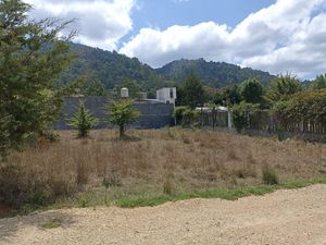 Terreno en venta rodeado de la naturaleza