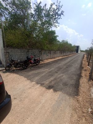 Terreno en Dzitya Yucatan