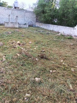 VENTA DE AMPLIO TERRENO IRREGULAR CON PROYECTO EN CHOLUL MERIDA