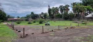 Terreno en venta Cocoyoc Yautepec Morelos Super ubicado