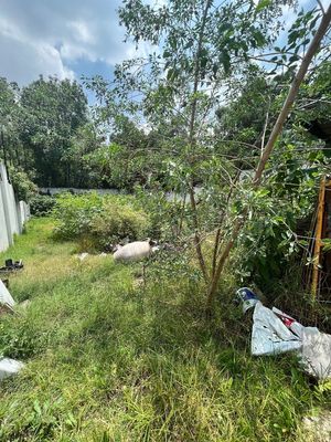 TERRENO EN VENTA LOMAS DE CHAPULTEPEC