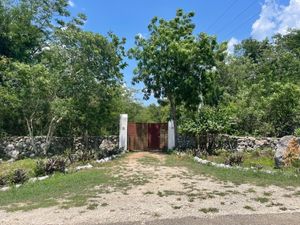 Terreno en Venta, Finca  Tecoh, a 1km de Itzincab de Cámara. Yucatán.