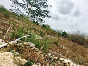 Terreno rústico con Finca a pie de Carretera Cacalchen-Hoctún, Yucatán.