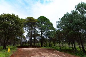 LOTES EN VENTA EN SAN CRISTOBAL, PROYECTO AVELLANEDA