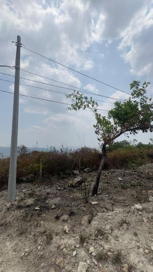 LOTES EN VENTA  AL SUR PONIENTE DE TUXTLA