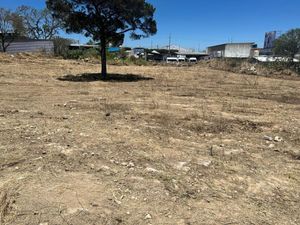 TERRENO EN RENTA, EN ZONA COMERCIAL EN COMITAN DE DOMINGUEZ, CHIAPAS