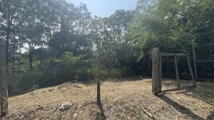 LOTE EN VENTA EN CERRADA LOS CEDROS